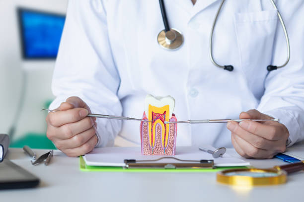 Best Emergency Dental Care for Broken or Chipped Teeth in Foley, AL